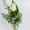 "rosa singola al mazzo bouquet" dalla rosa singola al mazzo<br> rose rosse, gialle, bianche e blu
