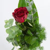 Rosa rossa, da 1 a oltre 100