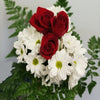 bouquet rose rosse e crisantemina bianca <br> " tre di cuori "